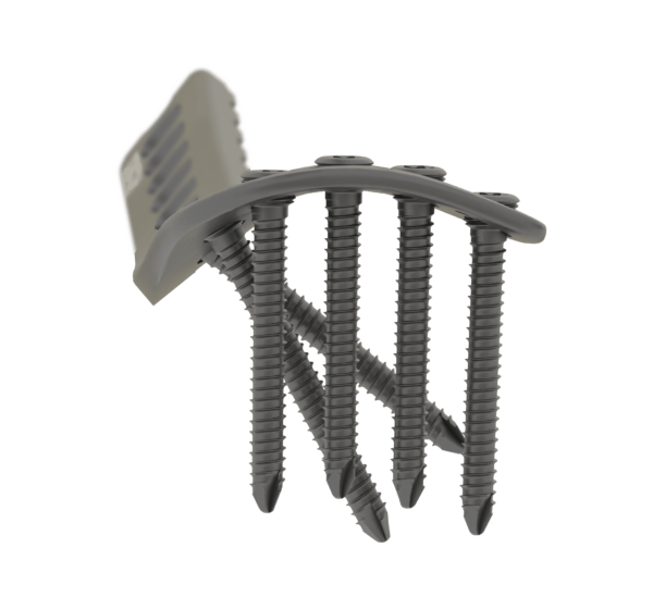 Affinity Tibia Distal - Imagen 5