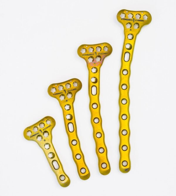 Affinity Tibia Proximal - Imagen 4