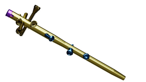 Clavo Support Húmero - Imagen 2